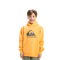 Mikiny - Quiksilver Big Logo Hoodie