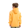 Mikiny - Quiksilver Big Logo Hoodie