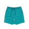 Boardshorty - Quiksilver Taxer WS