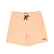 Boardshorty - Billabong Every Other Day LB