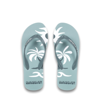 Žabky - Quiksilver Molokai Screen