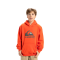 Mikiny - Quiksilver Big Logo Hoodie