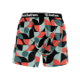 FRAZIER BOXER SHORTS (mosaic) velikost L