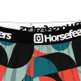 FRAZIER BOXER SHORTS (mosaic) velikost L