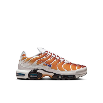 Tenisky - Nike Air Max Plus One Block Down Chutney