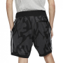 Krátke nohavice - Nike SB Dry Court