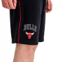 Krátke nohavice - New Era NBA Stripe piping Chicago Bulls